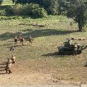 Reenactment of the Battle of Warsaw 1920 in Ossów — historic Renault FT tank in action.